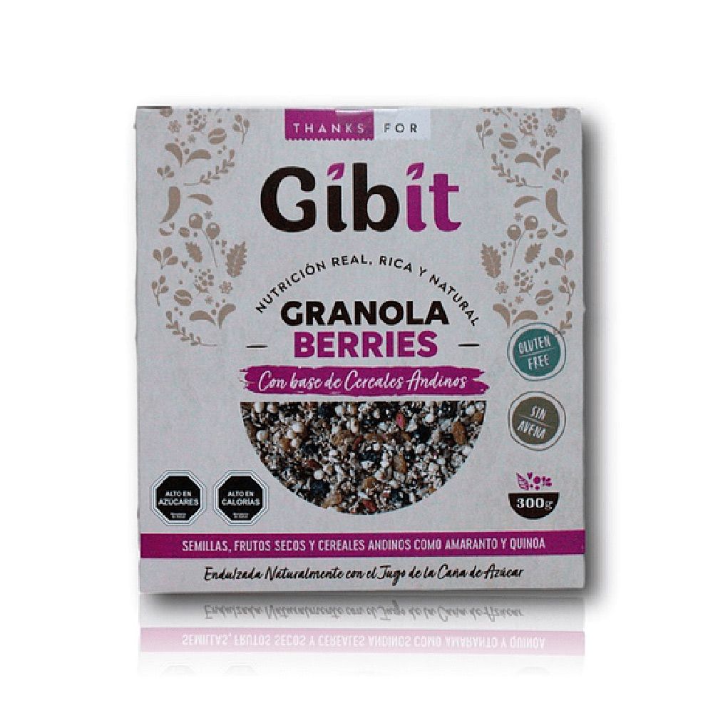 GRANOLA BERRIES 300 G - GIBIT 