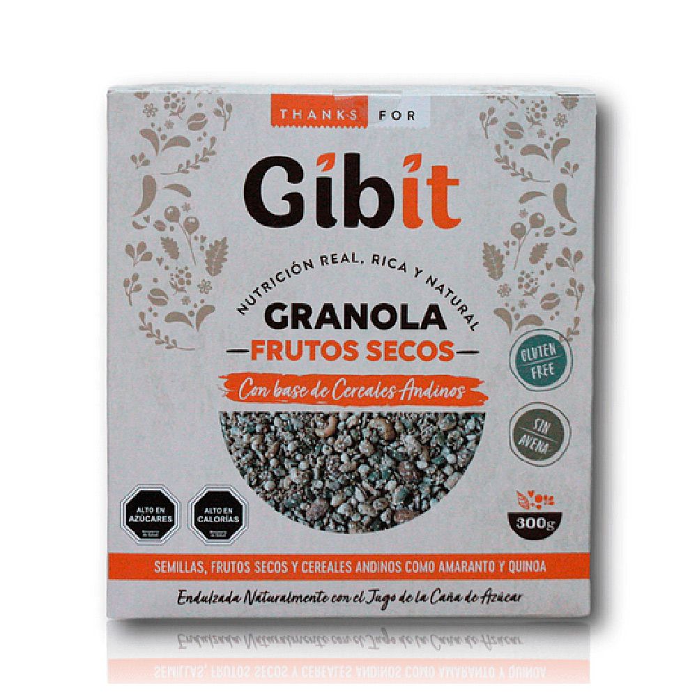 GRANOLA FRUTOS SECOS 300 G - GIBIT 